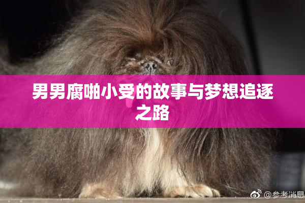 男男腐啪小受的故事与梦想追逐之路