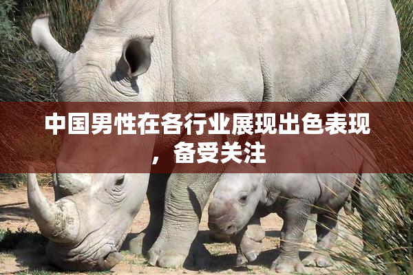 中国男性在各行业展现出色表现，备受关注