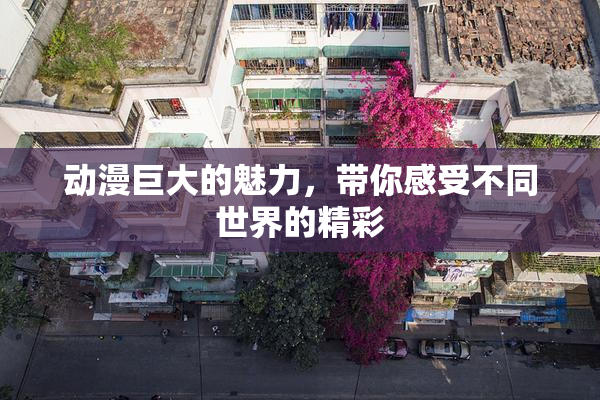 动漫巨大的魅力，带你感受不同世界的精彩