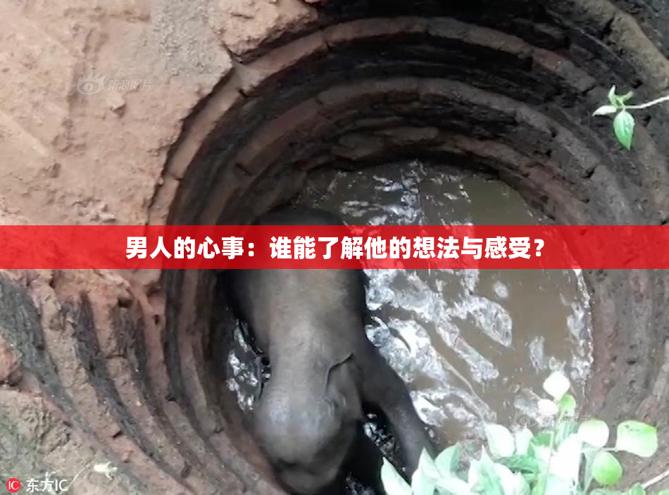 男人的心事：谁能了解他的想法与感受？