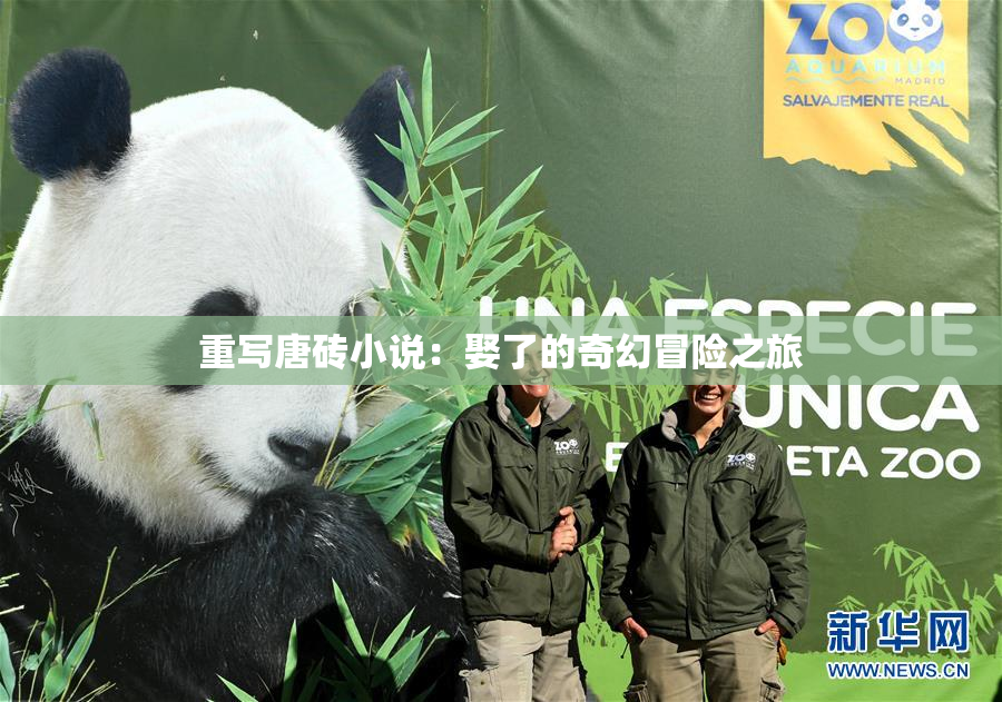 重写唐砖小说：娶了的奇幻冒险之旅