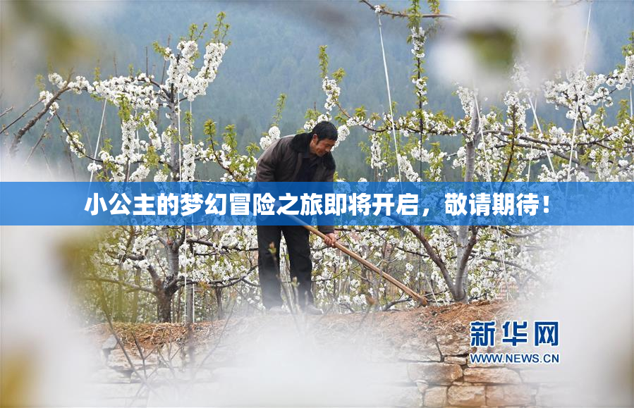 小公主的梦幻冒险之旅即将开启，敬请期待！