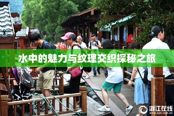水中的魅力与纹理交织探秘之旅