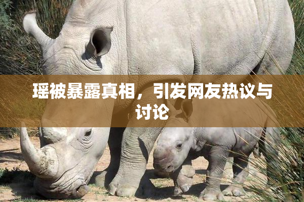 瑶被暴露真相，引发网友热议与讨论