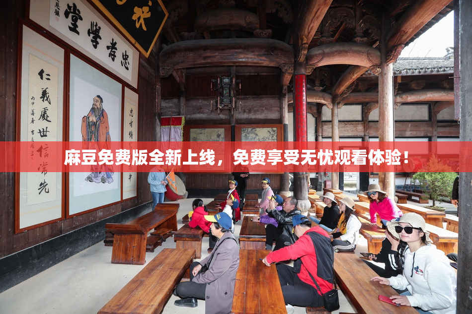 麻豆免费版全新上线，免费享受无忧观看体验！