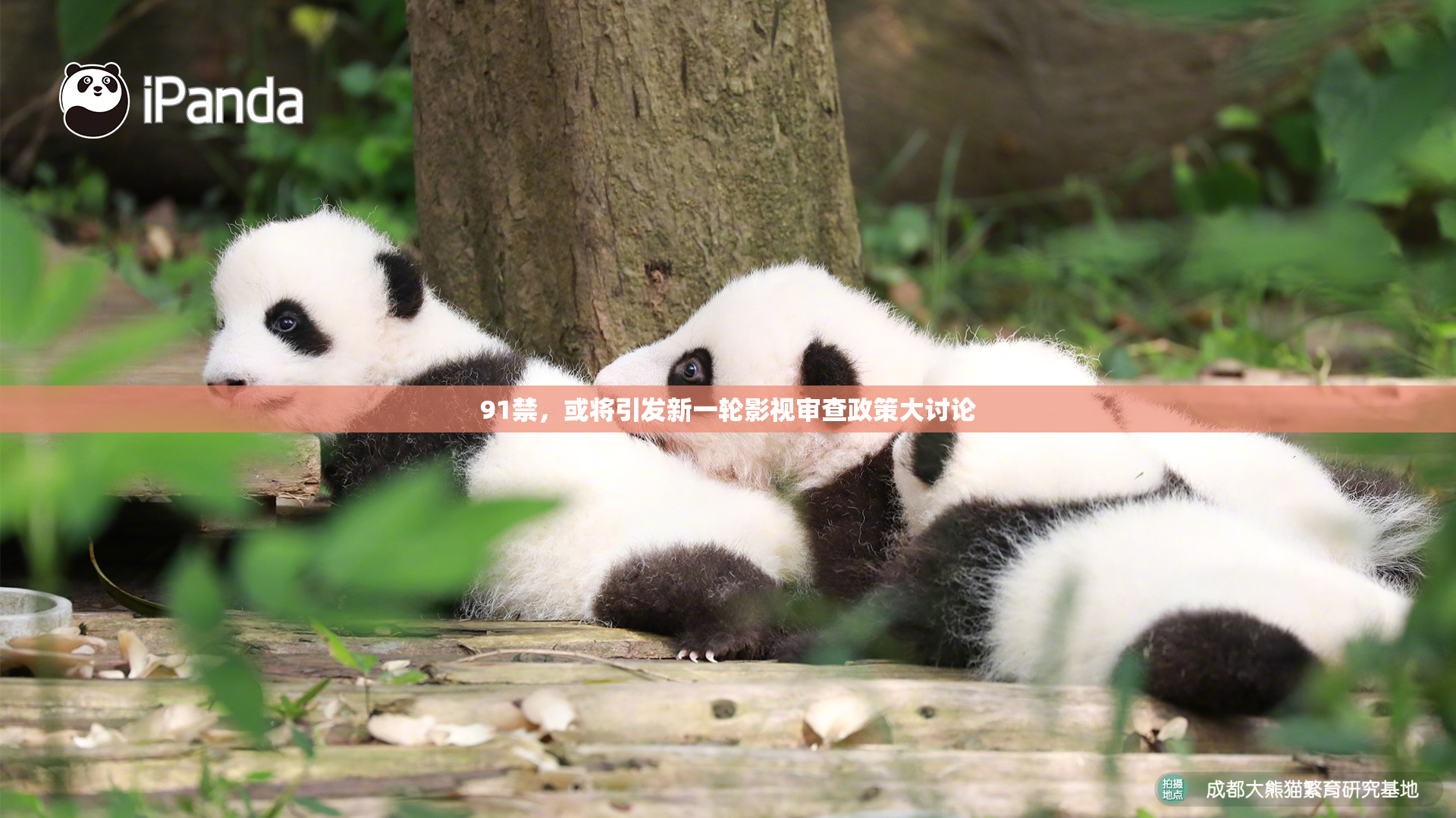 91禁，或将引发新一轮影视审查政策大讨论