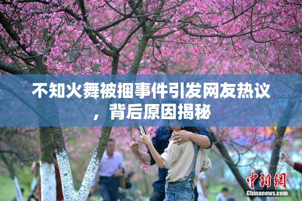 不知火舞被捆事件引发网友热议，背后原因揭秘