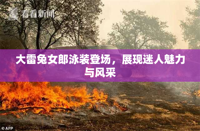 大雷兔女郎泳装登场，展现迷人魅力与风采