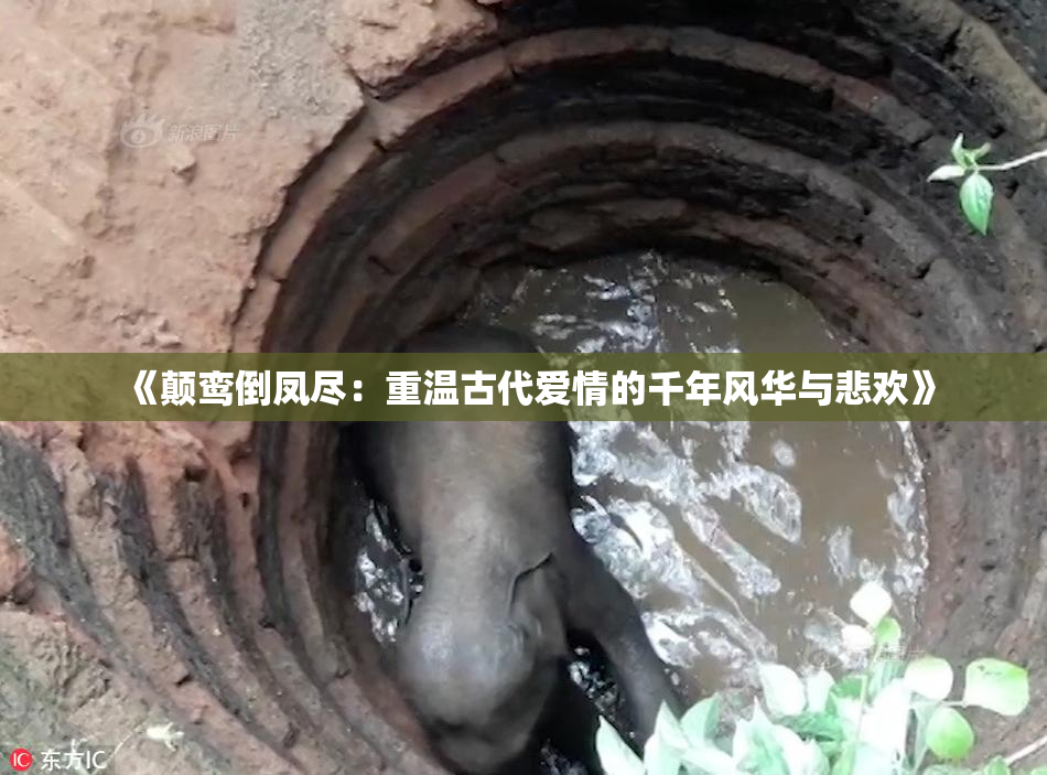 《颠鸾倒凤尽：重温古代爱情的千年风华与悲欢》