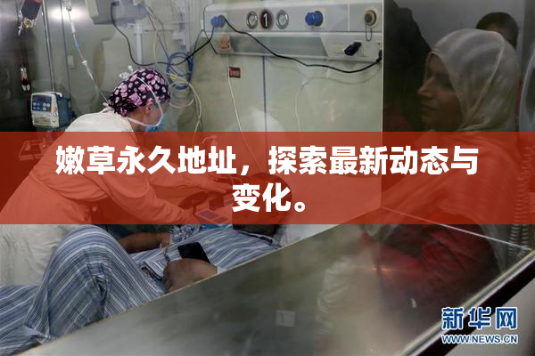 嫩草永久地址，探索最新动态与变化。