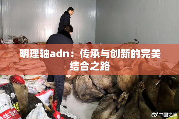 明理轴adn：传承与创新的完美结合之路