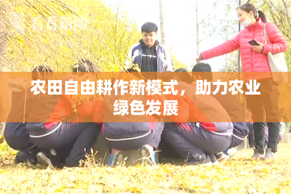 农田自由耕作新模式，助力农业绿色发展