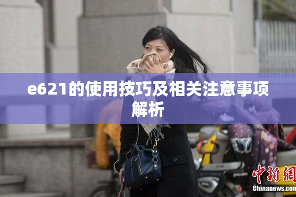 e621的使用技巧及相关注意事项解析