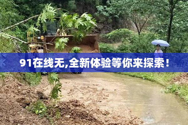 91在线无,全新体验等你来探索！