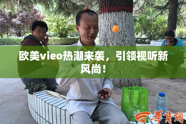 欧美vieo热潮来袭，引领视听新风尚！