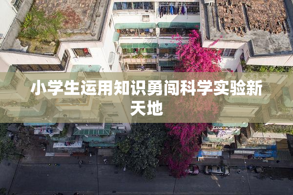 小学生运用知识勇闯科学实验新天地