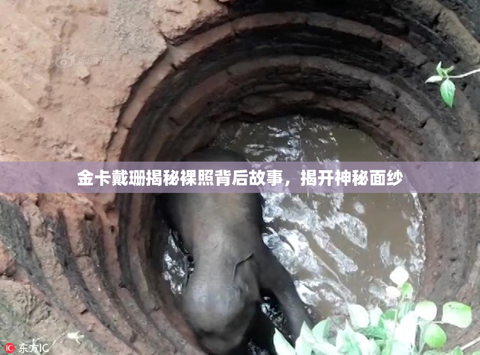 金卡戴珊揭秘裸照背后故事，揭开神秘面纱