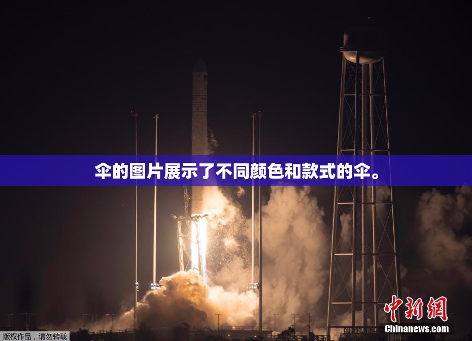 伞的图片展示了不同颜色和款式的伞。