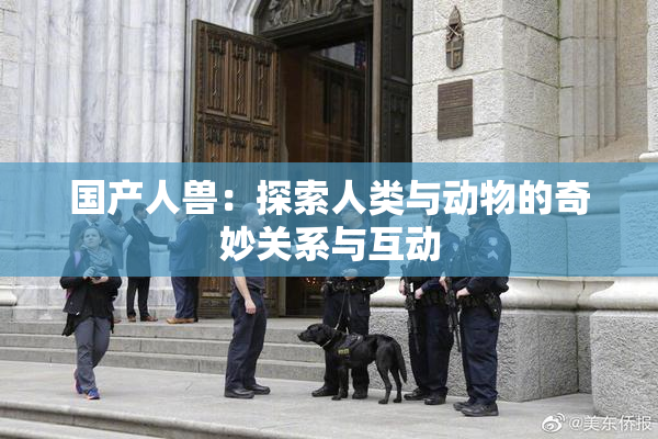 国产人兽：探索人类与动物的奇妙关系与互动