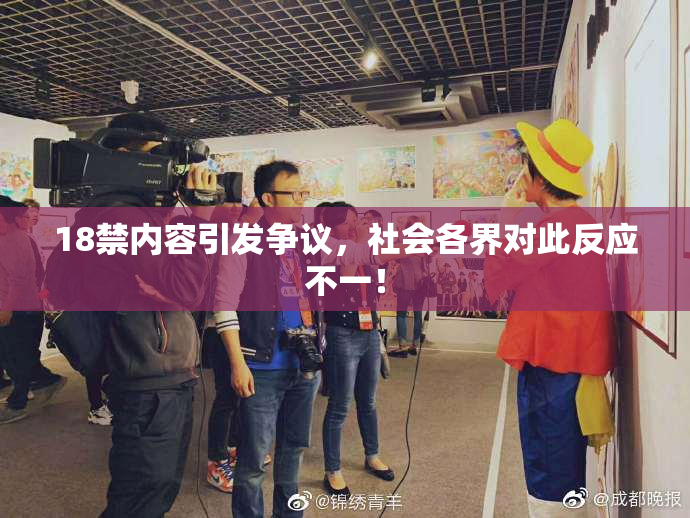 18禁内容引发争议，社会各界对此反应不一！