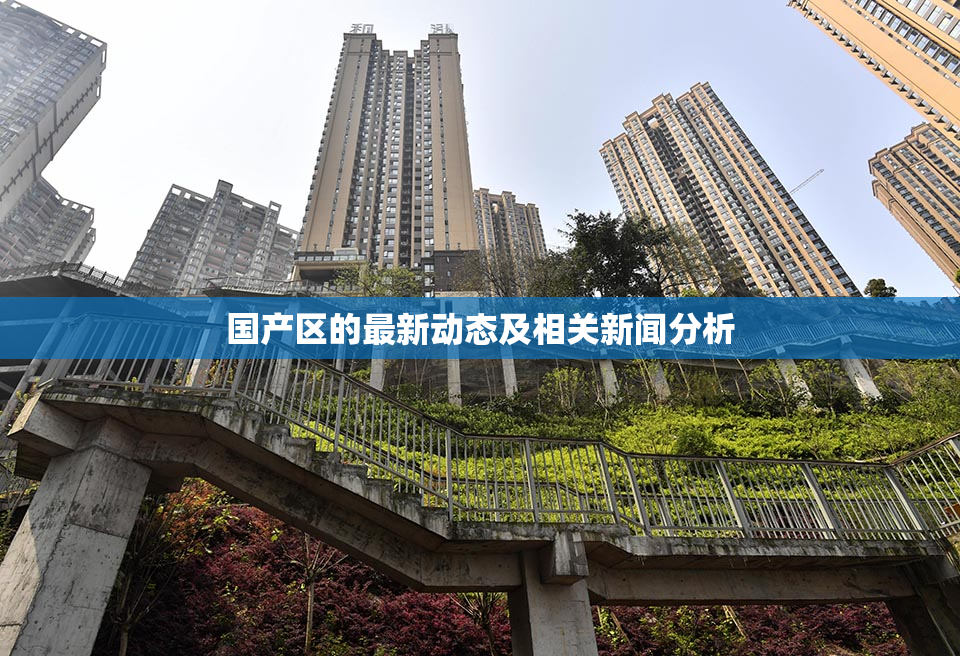 国产区的最新动态及相关新闻分析