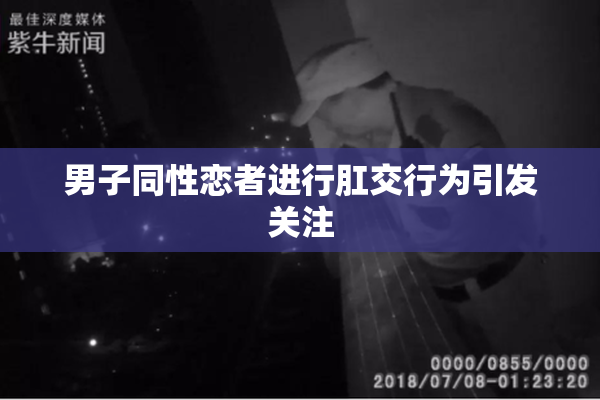 男子同性恋者进行肛交行为引发关注