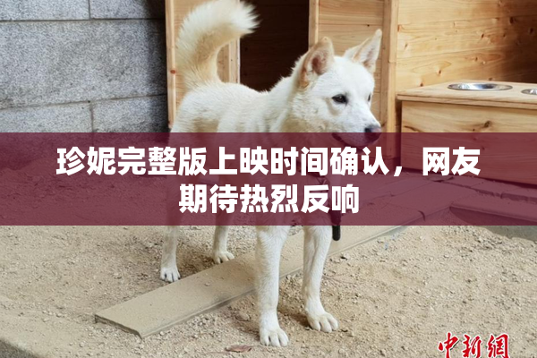 珍妮完整版上映时间确认，网友期待热烈反响