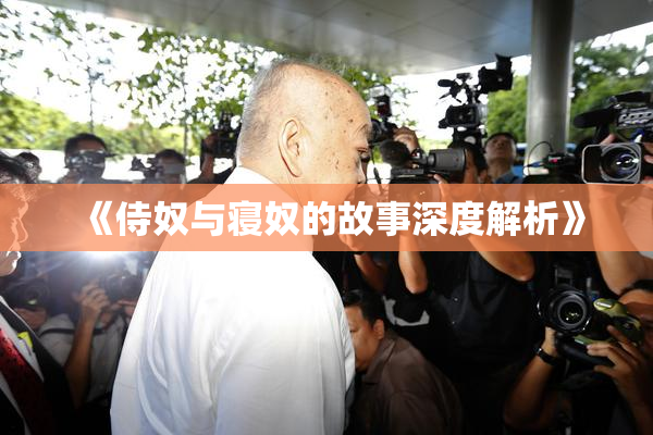 《侍奴与寝奴的故事深度解析》