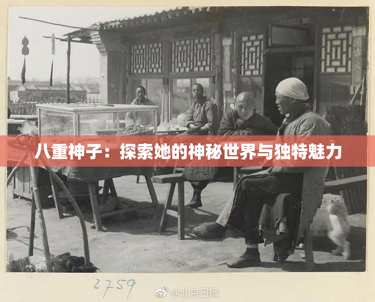 八重神子：探索她的神秘世界与独特魅力