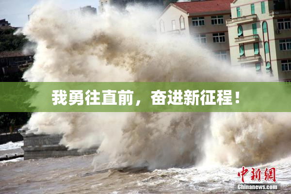 我勇往直前，奋进新征程！