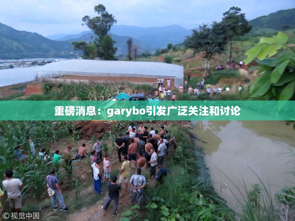 重磅消息：garybo引发广泛关注和讨论