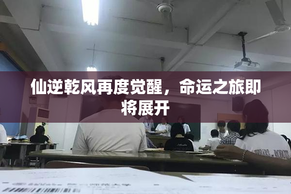 仙逆乾风再度觉醒，命运之旅即将展开