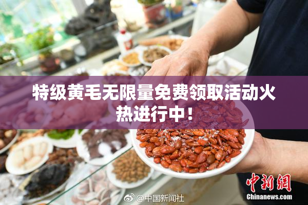特级黄毛无限量免费领取活动火热进行中！