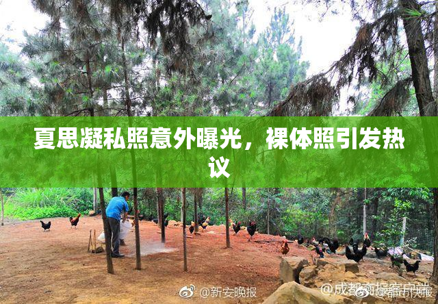 夏思凝私照意外曝光，裸体照引发热议