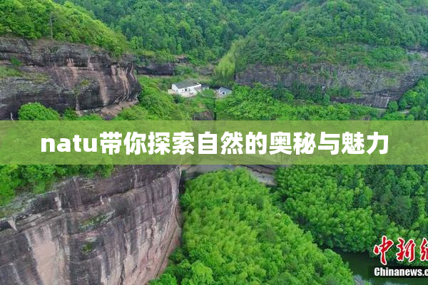 natu带你探索自然的奥秘与魅力