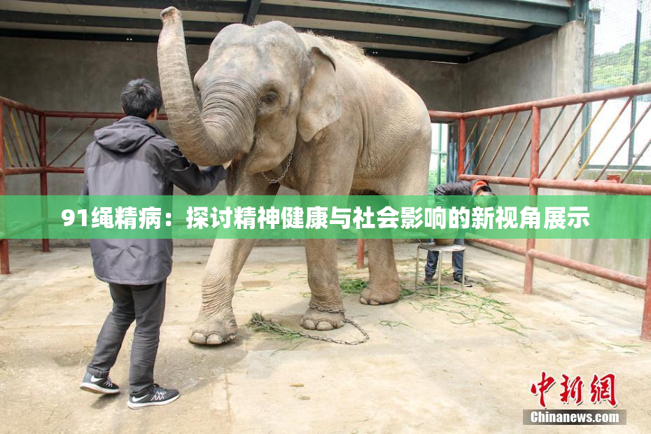 91绳精病：探讨精神健康与社会影响的新视角展示
