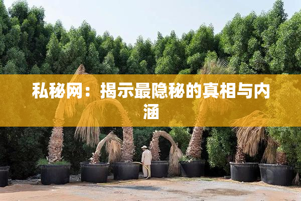 私秘网：揭示最隐秘的真相与内涵