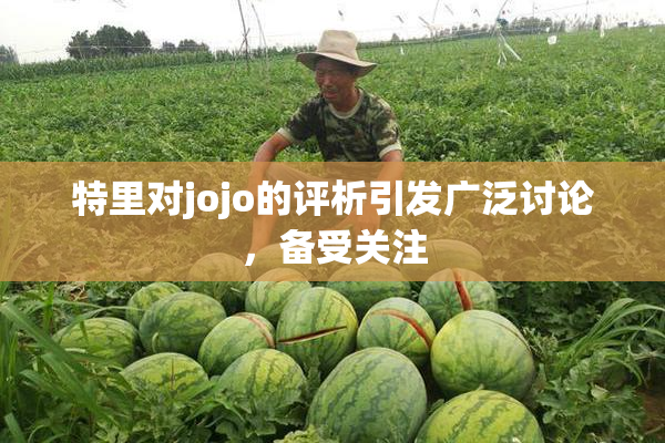 特里对jojo的评析引发广泛讨论，备受关注