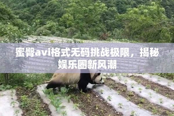 蜜臀avi格式无码挑战极限，揭秘娱乐圈新风潮