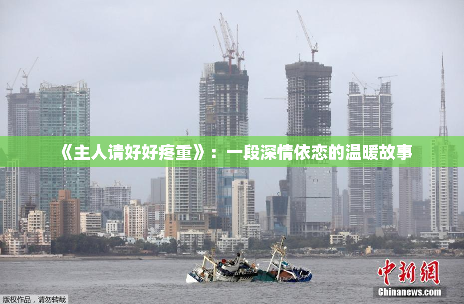 《主人请好好疼重》：一段深情依恋的温暖故事