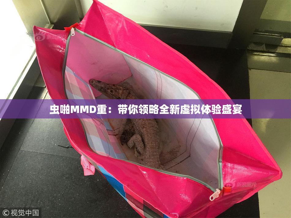 虫啪MMD重：带你领略全新虚拟体验盛宴