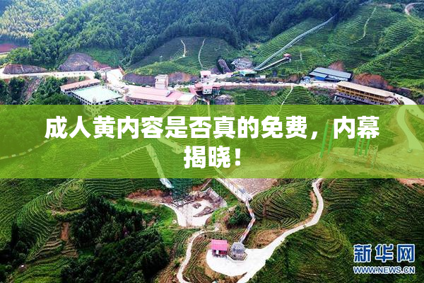 成人黄内容是否真的免费，内幕揭晓！