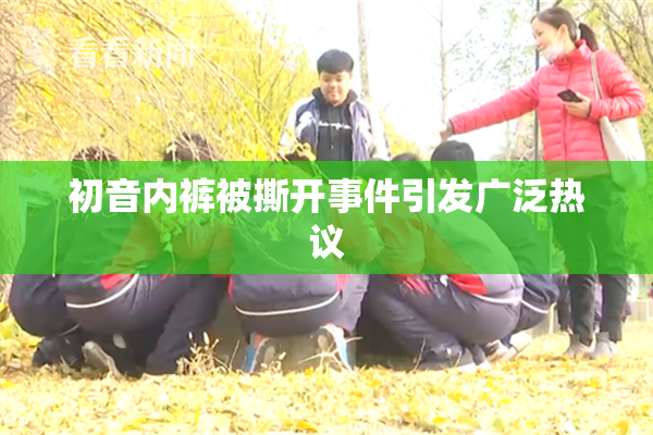 初音内裤被撕开事件引发广泛热议