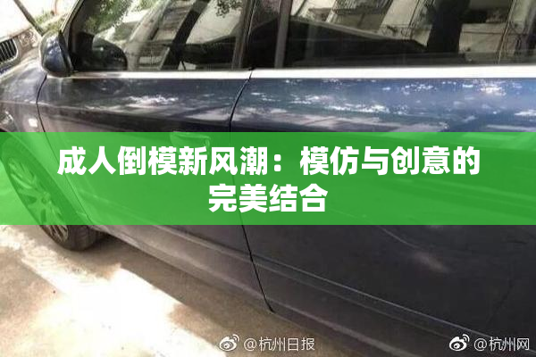 成人倒模新风潮：模仿与创意的完美结合