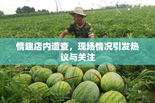 情趣店内遭查，现场情况引发热议与关注