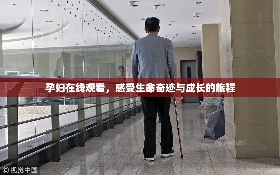 孕妇在线观看，感受生命奇迹与成长的旅程