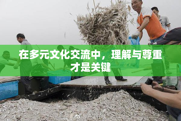 在多元文化交流中，理解与尊重才是关键