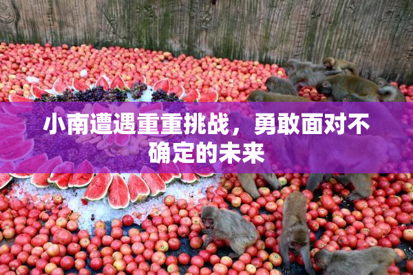 小南遭遇重重挑战，勇敢面对不确定的未来