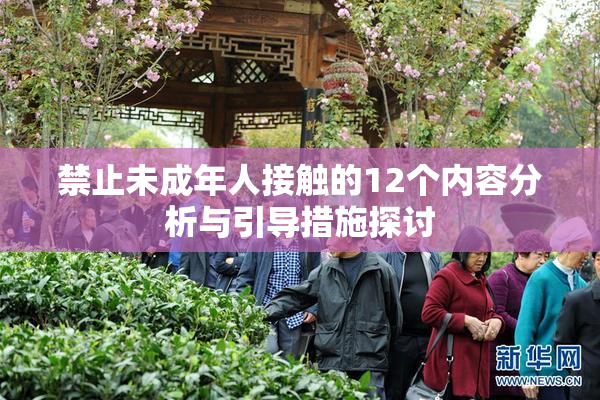 禁止未成年人接触的12个内容分析与引导措施探讨