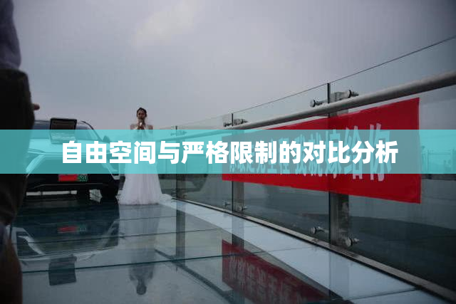 自由空间与严格限制的对比分析